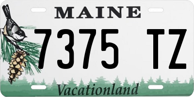 ME license plate 7375TZ