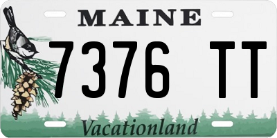 ME license plate 7376TT