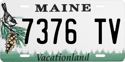ME license plate 7376TV