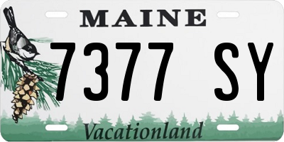ME license plate 7377SY