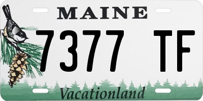 ME license plate 7377TF