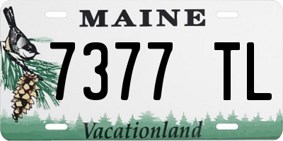ME license plate 7377TL
