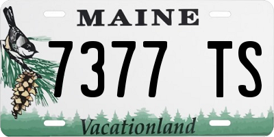 ME license plate 7377TS