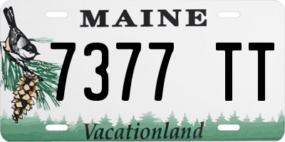 ME license plate 7377TT