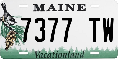 ME license plate 7377TW