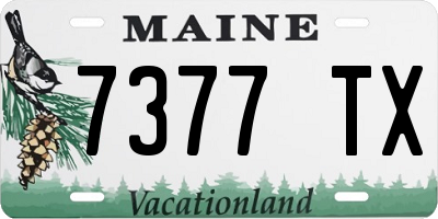 ME license plate 7377TX