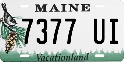 ME license plate 7377UI