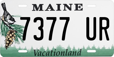 ME license plate 7377UR