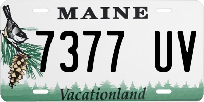 ME license plate 7377UV