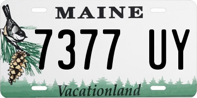 ME license plate 7377UY