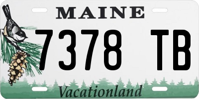 ME license plate 7378TB