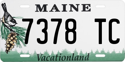 ME license plate 7378TC