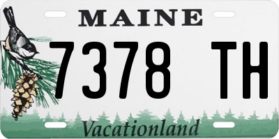 ME license plate 7378TH