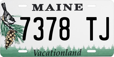 ME license plate 7378TJ