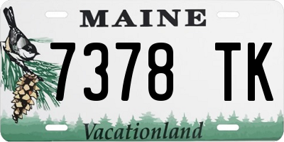 ME license plate 7378TK