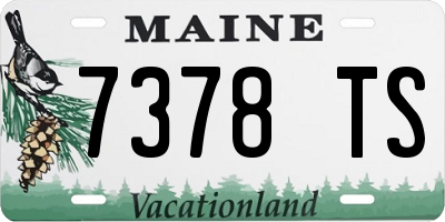 ME license plate 7378TS