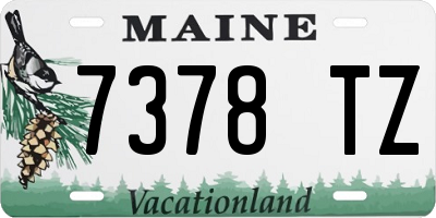 ME license plate 7378TZ