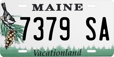 ME license plate 7379SA