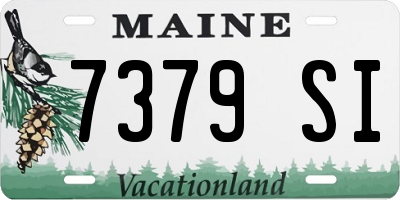 ME license plate 7379SI