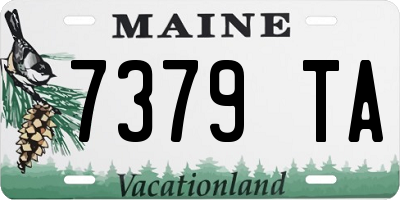 ME license plate 7379TA