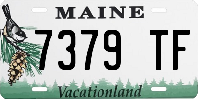 ME license plate 7379TF