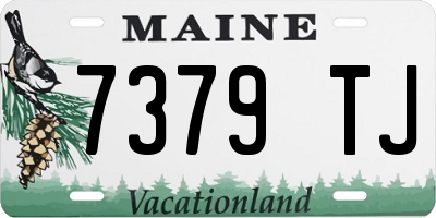 ME license plate 7379TJ