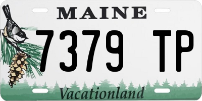 ME license plate 7379TP