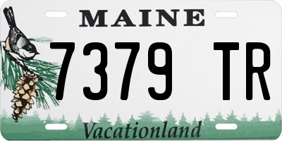 ME license plate 7379TR