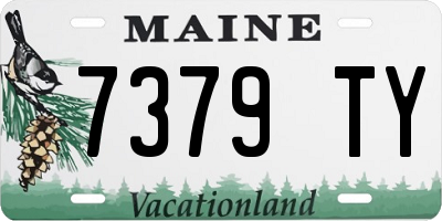 ME license plate 7379TY