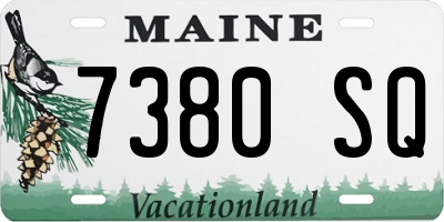 ME license plate 7380SQ