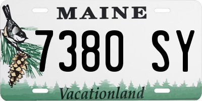 ME license plate 7380SY