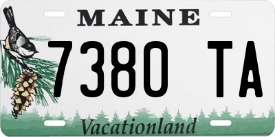 ME license plate 7380TA