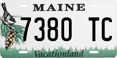 ME license plate 7380TC