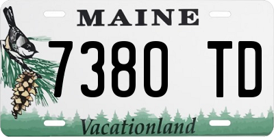 ME license plate 7380TD