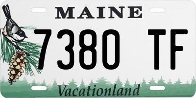ME license plate 7380TF