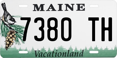 ME license plate 7380TH