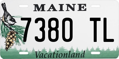 ME license plate 7380TL