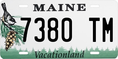 ME license plate 7380TM
