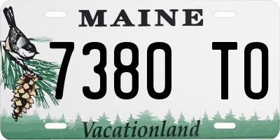 ME license plate 7380TO