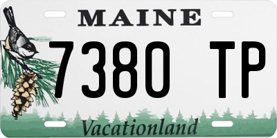 ME license plate 7380TP