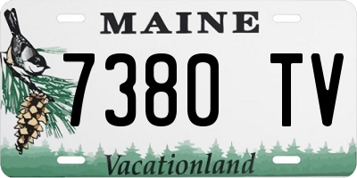 ME license plate 7380TV