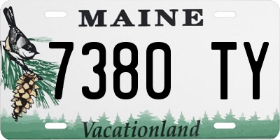 ME license plate 7380TY