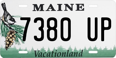 ME license plate 7380UP
