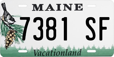 ME license plate 7381SF