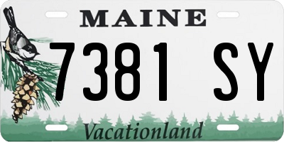 ME license plate 7381SY