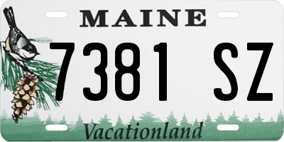 ME license plate 7381SZ