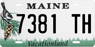 ME license plate 7381TH