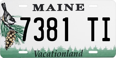 ME license plate 7381TI