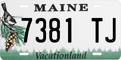 ME license plate 7381TJ