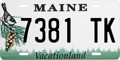 ME license plate 7381TK